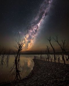 Canon 11-24mm f/4: (Best Canon lens for night sky photography)