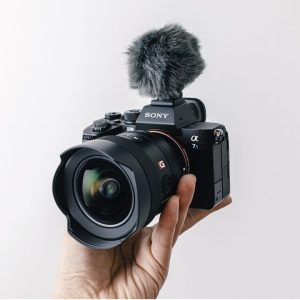 Sony A7S III: (best Sony mirrorless camera for vlogging)
