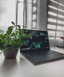 Dell XPS 15 OLED: (best laptops for working from home)