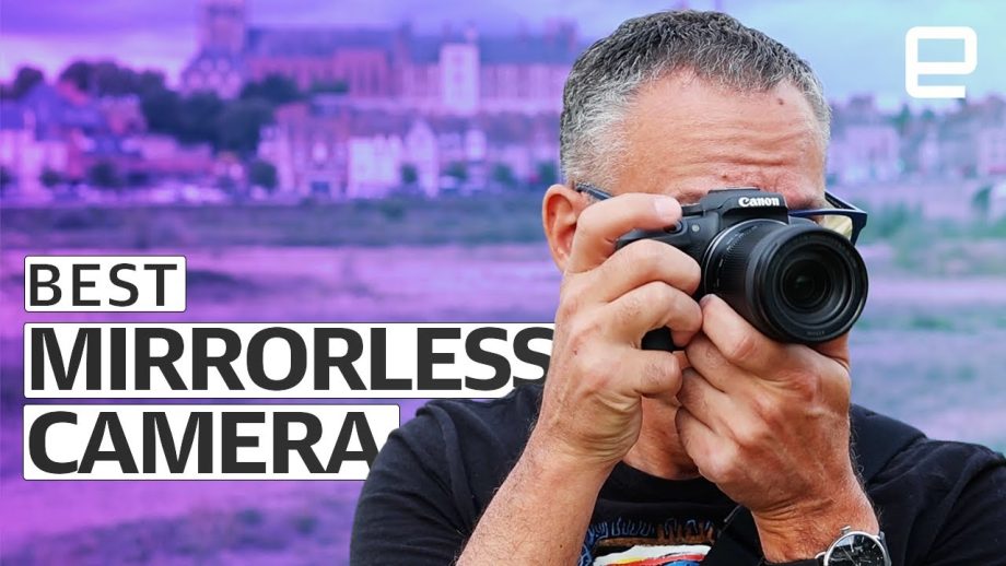 Best Nikon mirrorless camera for wildlife photography