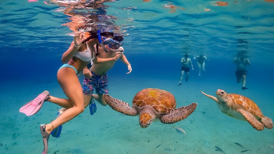 Best full-frame camera for underwater photography