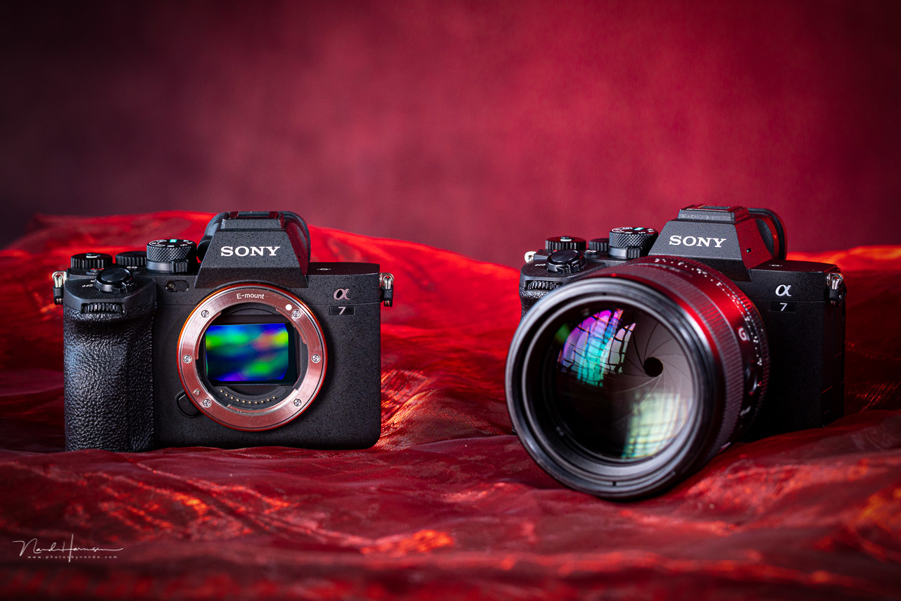 Best Sony mirrorless camera under 1000