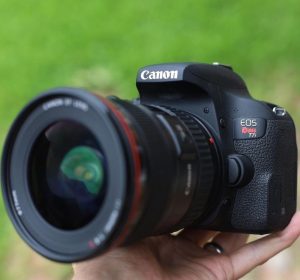 Canon Rebel T7i: Tried and True