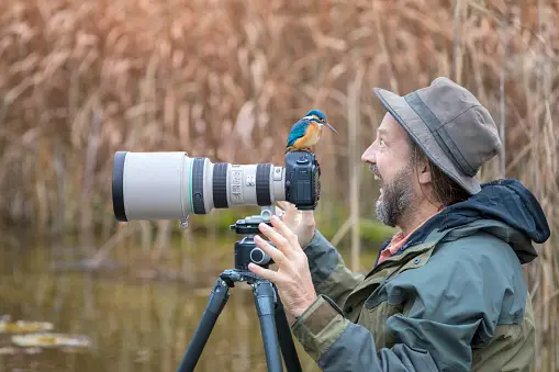 Best Professional Camera for Nature Photography