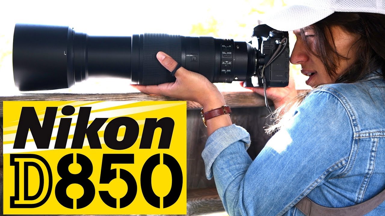 Best Nikon camera for wildlife photography