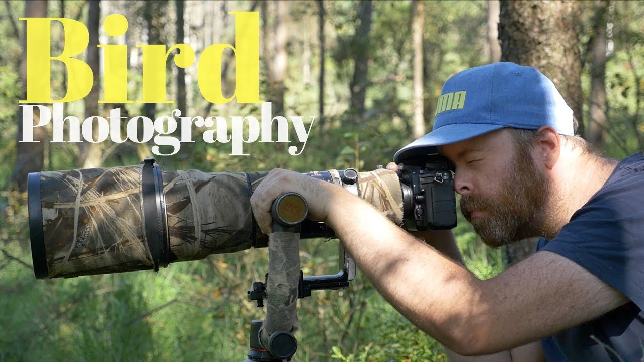 Best Sony camera for bird photography