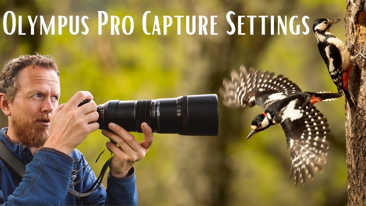Best Olympus Camera for Bird Photography