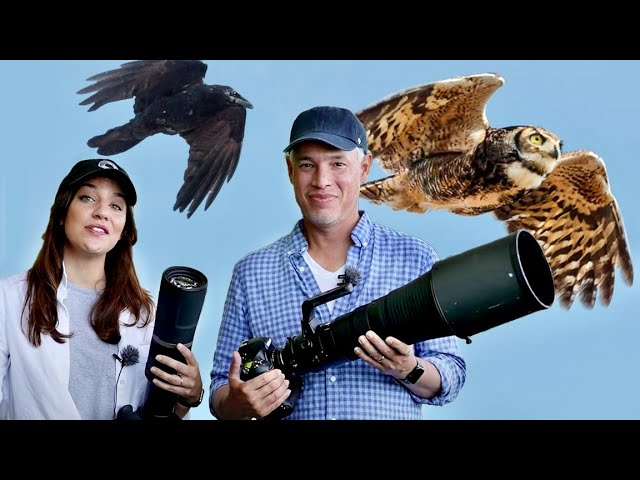 Best Fuji camera for bird photography